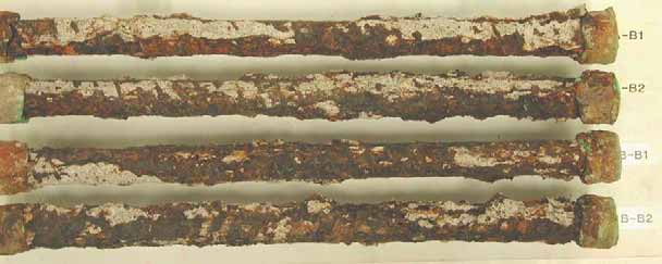 Figure 67. Slab #8 extracted rebars condition. Photo. Before autopsy, all the straight bottom mat bars exhibit severe corrosion. 