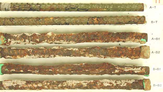 Figure 100. Slab #19 extracted rebars condition. Photo. Before autopsy, the two top mat straight ECRs (A-T and B-T) show moderate coating deterioration in form of hairline cracks with minor corrosion stain. All the bottom mat black bars are severely corroded.