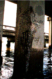 Figure 1. Photograph of a cracked and spalled marine bridge piling. Photo. Photograph of a coastal concrete bridge piling in seawater to about a plus-eight foot elevation showing a spall and exposed reinforcing steel.