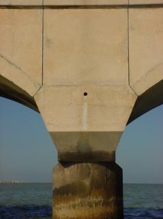 Figure 24. Photograph of hinged arches and piling. Photo. Photograph of a typical hinged arch and piling on the Progresso pier.
