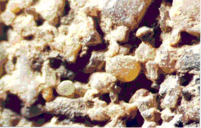 Figure 25. Photo. Internal Structure of block from Wisconsin SRW (WI-4), showing large compaction voids and low cement paste content. Picture shows a closeup view of an SRW block with wide, deep spaces between the aggregate.