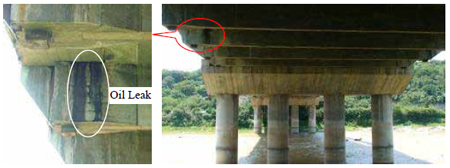 Photo. Oil Leakage Underneath the Bridge Deck. Click here for more information.