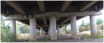 Photo. Columns with soil marks indicating ground settlement at west end of Llacolen bridge. Click here for more information.