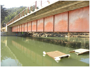 Photo. Cross frames in Pichibudis bridge. Click here for more information.