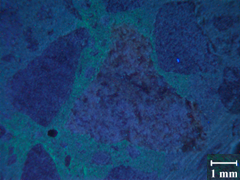 The image is the petrographic image for Mix 2 at 1 day, Comparison of this figure and figure 78 shows a clear difference in the petrographic features at different specimen ages. At 1 day, the representative cross-section in this figure shows only a light staining of the paste but no signs of alkali-silica reaction (ASR) gel.