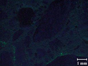 A typical petrographic image for recast Mix 4 at 26 days shows, overall, very little fluorescence, with only a few instances found.