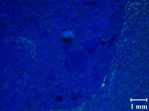 A typical petrographic image for recast Mix 4 at 54 days shows significantly more fluorescence but the fluorescence appears inside the aggregates, which was not observed in other aggregate sources examined. At about this time, nonlinearity starts to increase.
