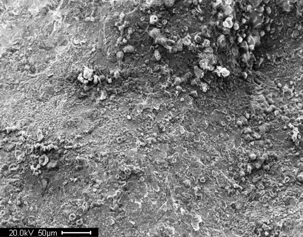 This figure shows a scanning electron microscopic image of an A710 steel surface. The length of the scale bar is 0.002 inches (50 micrometers).