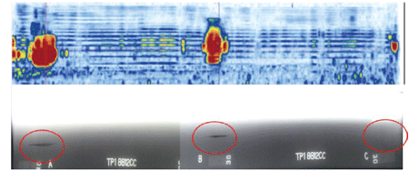 Figure 5. Illustration. Comparison of volume-corrected C-scan image to digital photograph of RT film from specimen TP1 (transition butt-weld specimen). This figure has two parts. A volume-corrected C-scan image is shown in the top portion of this figure for one index point. The C-axis is the scanning distance, and the Y-axis represents the width of coverage of the scan. The images are colored, and the areas with red color saturation represent the flaws in the test specimen TP3. The bottom part of the image shows the digital photograph of the radiographic film. The density changes represent the flaw in the specimen TP1.