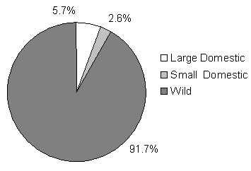 This pie chart shows the following percentages of accidents involving different animal species categories: 91.7 percent for Wild.; 5.7 percent for Large Domestic (cattle, horses).; 2.6 percent for Small Domestic (dog, cat, etc.).