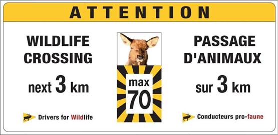 This is a picture of a roadside sign. The sign has a white background with a yellow stripe across the top. On the yellow stripe is the word “ATTENTION.” In the middle of the white portion is a deer head looking over the top of a speed limit sign “max 70.”  To the left of the speed limit sign are the words “wildlife crossing next 3 km drivers for wildlife.” To the right are the same words in French, “passage d’animaux sur 3 km conducteurs pro-faune.”