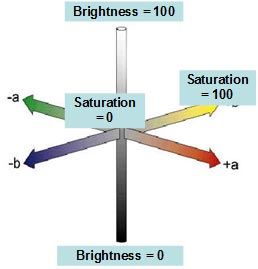 This diagram is a three-dimensional figure representing brightness and saturation. At the center is a vertical post that is white at the top and transitions to black at the bottom. The white top of the post is labeled “Brightness = 100,” and the black bottom is labeled “Brightness = 0.” Two axes cut through the post perpendicularly at right angles to each other, making an “X” into and out of the plane of the page. The center of the X, near the vertical post, is labeled “Saturation = 0,” and the far end of one axis is labeled “Saturation = 100.” Each part of the X fades from color to gray from the far end to the center. One axis is labeled “-a” and “+a,” with green at the -a end and red at the +a end. The other axis is labeled “-b” and “+b,” with blue at the -b end and yellow at the +b end. Figure 27 was intended to help participants understand the color scales used in the experiment.