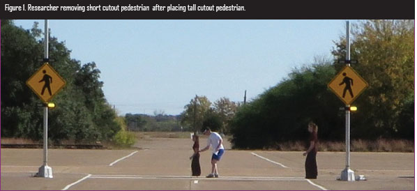 Figure 1. Photo. Researcher removing short cutout pedestrian after placing tall cutout pedestrian. This photo shows a researcher placing a short cutout photograph of a pedestrian in the center of a two-lane roadway within a marked crosswalk. A tall cutout photograph of a pedestrian is on the right edge line. An active rectangular rapid-flashing sign assembly is on the right and left side of the roadway.