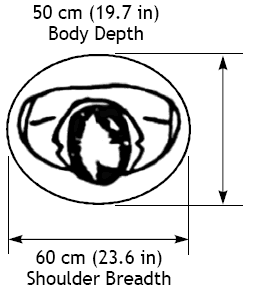 Recommended pedestrian body ellipse dimensions for standing areas.