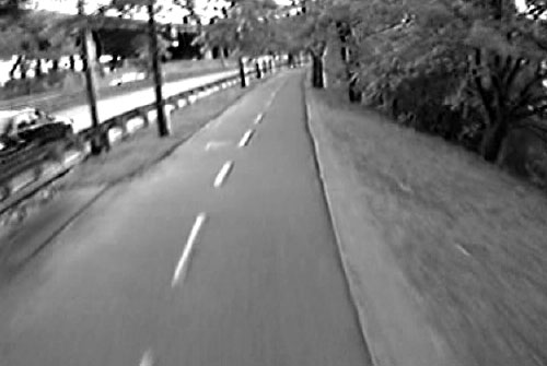 Screen shot (single frame) from the Dr. Paul Dudley Bicycle Path used during the perception survey. The image is forward-looking at a shared-use path from the bicycle helmet camera.