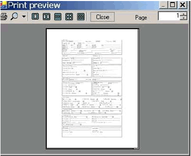 A click on the Print Preview button within the File menu will show the data form that can be printed.