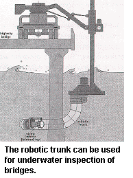 Diagram of robotic trunk that can be used for underwater inspection of bridges.