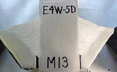 Specimen E4W-5D M13