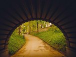 Image of a trail through a tunnel