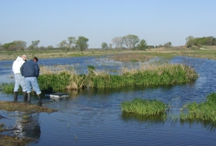 Two scan team members wade in the water as they check for critters at the Rock Creek Mitigation site in Nebraska.