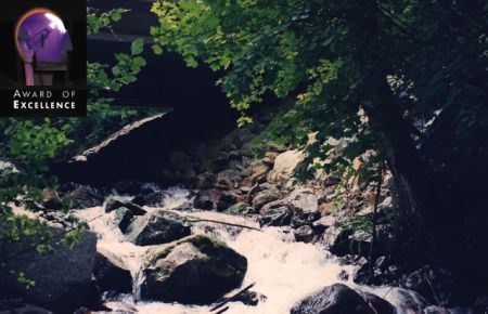 Category 4: Environmental Protection and Enhancements Award of Excellence, image of project First Creek Fish Passage, Southwest of Chelon, Washington