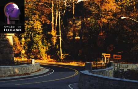 Category 5: Historic Preservation Award of Excellence, image of project Route 66 over Stony Kill, Village of Chatham, New York