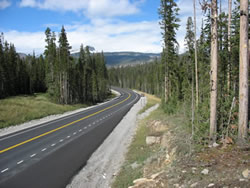 The road curves gently to the left through a corridor of evergreens with mountains in the background. Wider shoulders, added pullouts, increased parking areas, and access improvements have enhanced safety and mobility and improved visitor experience.