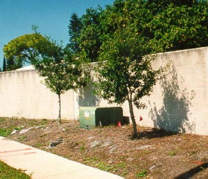 Photo of a noise barrier illustrating the need to accommodate underground utilities. The barrier alignment deflects around a ground mounted transformer.