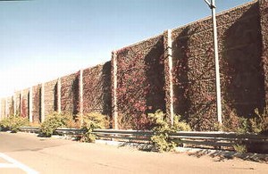 Photo of a noise barrier protected by guardrail