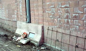 Photo showing litter collected at the base of the noise barrier