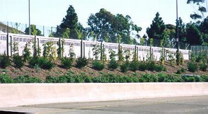 Photo of a noise barrier illustrating integration of the noise barrier with supplemental vegetation. 