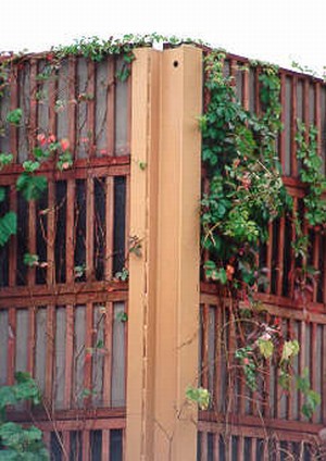 Photo of a noise barrier illustrating integration of the noise barrier with supplemental vegetation. 