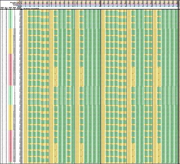 Figure 11 shows decision patterns indicated by color bands in portion of reasonableness array for 50-ft receptor spacing, NRDG of 7 dB and Benefited Noise Reductions of 5 dB (upper half) and 6 dB (lower half). Figure 11 shows the result of zooming out farther for the upper left corner of the decision array. The characters are not meant to be readable in this example, but the colored patterns will be discussed. The figure shows six major blocks of columns of decisions; these are all for the 50-foot receptor spacing. The first three blocks of columns are for the 50-foot distance back for cases of one, two, and three rows of houses, respectively. Then, the second three blocks of columns are for the 100-foot distance back for one, two, and three rows of houses, respectively. Within each block are columns for each of the six barrier heights.