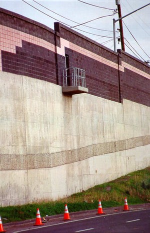 Photo of a noise barrier panel with an access door