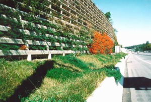 Photo of a concrete noise barrier with planting bays