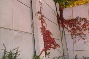 Photo of the highway side of a tilted post and panel noise barrier