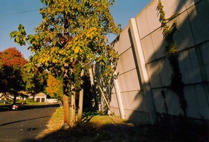 Photo of the community side of a tilted post and panel noise barrier