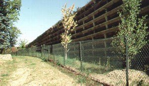 Photo of a noise barrier with landscaping that illustrates the importance of maintenance considerations. The landscape is healthy.