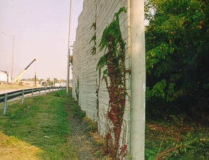 Photo of a wooden noise barrier with round wooden posts