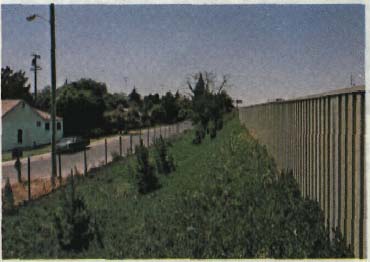A textured steel corrugated wall which resembles wood