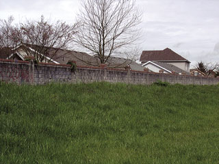 View of houses from grassy buffer zone showing wall and roof line