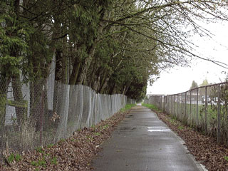 Trees are on left of photo, roadway on right, bikepath in center