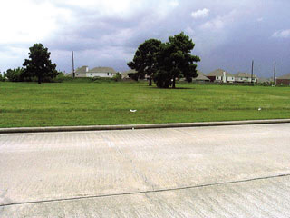 Grass field with a few trees between road and residential community