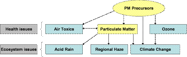 A chart depicts the relationships between particulate matter (PM), its precursors, and other air quality issues. PM precursors directly contribute to PM, ozone, air toxics, and climate change. Air toxics and PM directly linked because components of PM such as metals are air toxics. PM contributes to acid rain, regional haze, and climate change. Air toxics, PM, and ozone are characterized as health issues, while acid rain, regional haze, and climate change are characterized as ecosystem issues. 