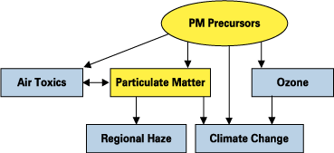 Flowchart showing PM Precursors flowing into Air Toxics, Particulate Matter, Ozone, and Climate Change. Ozone and Particulate Matter also flow into Climate Change. Air Toxics has a two-way flow with Particulate Matter.  Particulate Matter also flows into Regional Haze.