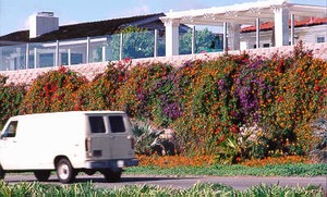 Photo of a noise barrier illustrating integration of the noise barrier with supplemental vegetation. 