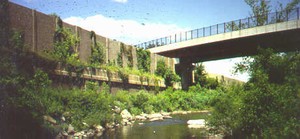 Photo of a noise barrier illustrating integration of the noise barrier with existing vegetation. The barrier is covered with vines.