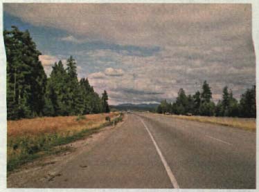 photo of a rural, tree lined two lane road