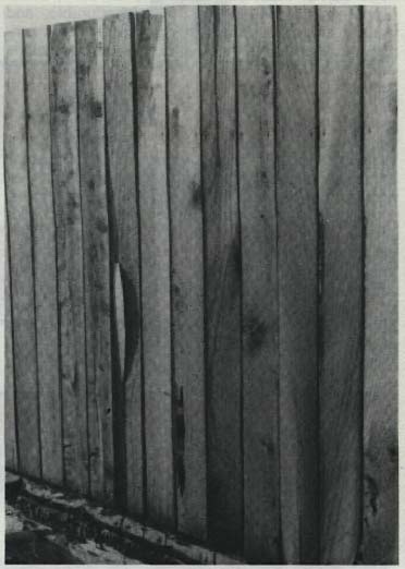 photo of a wooden fence
