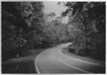 photo of a two lane rural tree lined road